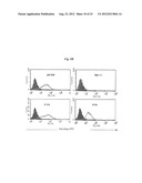 LIPOSOME COMPOSITION FOR TARGETING EGFR RECEPTOR diagram and image