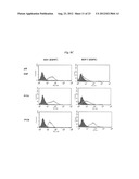 LIPOSOME COMPOSITION FOR TARGETING EGFR RECEPTOR diagram and image