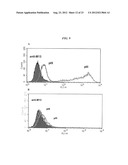 LIPOSOME COMPOSITION FOR TARGETING EGFR RECEPTOR diagram and image