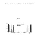 LIPOSOME COMPOSITION FOR TARGETING EGFR RECEPTOR diagram and image