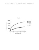 LIPOSOME COMPOSITION FOR TARGETING EGFR RECEPTOR diagram and image