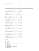 LIPOSOME COMPOSITION FOR TARGETING EGFR RECEPTOR diagram and image