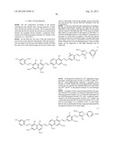 INK COMPOSITION AND INK JET RECORDING METHOD USING THE SAME diagram and image