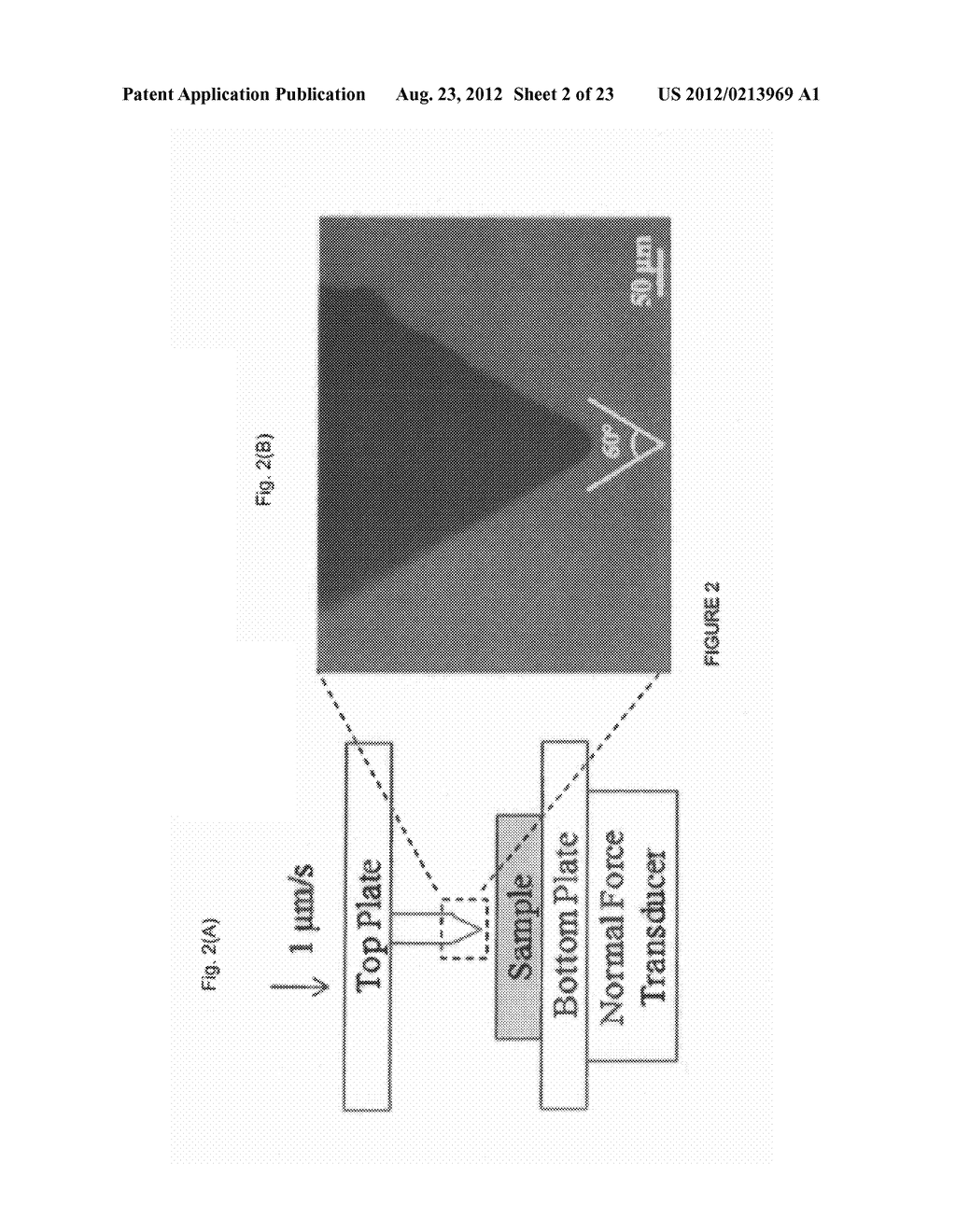 Functionally Graded Shape Memory Polymer - diagram, schematic, and image 03