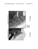 GRAPHITE NANO-CARBON FIBER AND METHOD OF PRODUCING THE SAME diagram and image