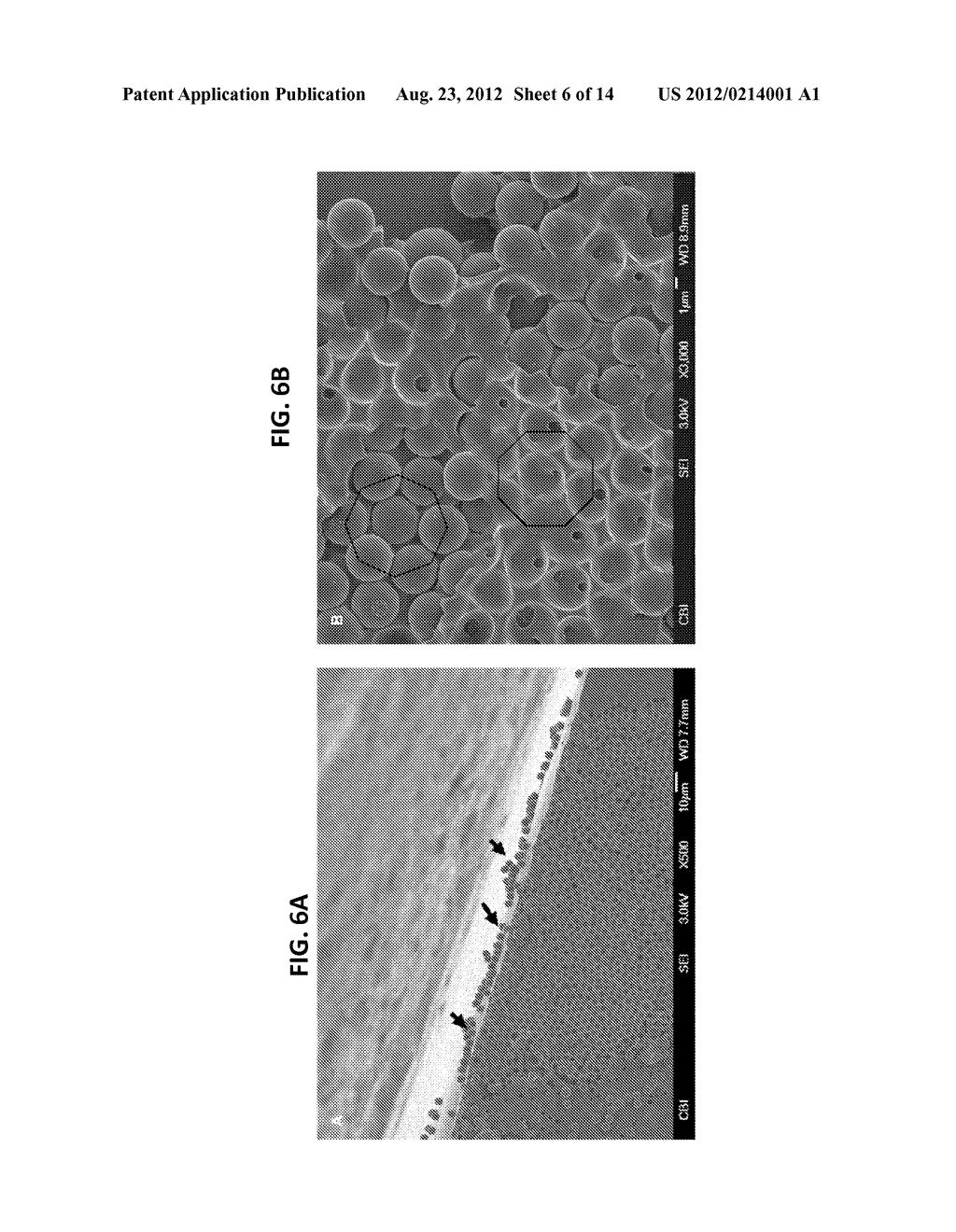 METHODS TO PREPARE PATCHY MICROPARTICLES - diagram, schematic, and image 07