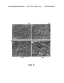 GRAPHENE HYBRID MATERIALS, APPARATUSES, SYSTEMS AND METHODS diagram and image