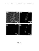 GRAPHENE HYBRID MATERIALS, APPARATUSES, SYSTEMS AND METHODS diagram and image