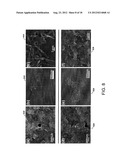 GRAPHENE HYBRID MATERIALS, APPARATUSES, SYSTEMS AND METHODS diagram and image