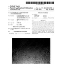 ELECTRODE FOR A LITHIUM BATTERY AND LITHIUM BATTERY diagram and image