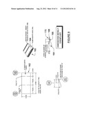 FIREARM BARREL PLUG AND TRAINING METHOD diagram and image