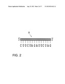 ASSAY METHODS USING DNA BINDING PROTEINS diagram and image