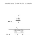 ASSAY METHODS USING DNA BINDING PROTEINS diagram and image