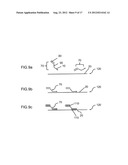 ASSAY METHODS USING DNA BINDING PROTEINS diagram and image