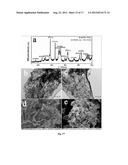 GRAPHENE-BASED FIELD-EFFECT TRANSISTOR BIOSENSORS diagram and image