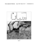 GRAPHENE-BASED FIELD-EFFECT TRANSISTOR BIOSENSORS diagram and image