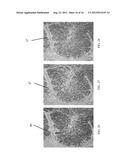 Methods and Systems for Efficient Processing of Biological Samples diagram and image