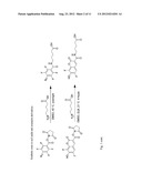 PROBE INCORPORATION MEDIATED BY ENZYMES diagram and image