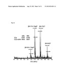 PROBE INCORPORATION MEDIATED BY ENZYMES diagram and image