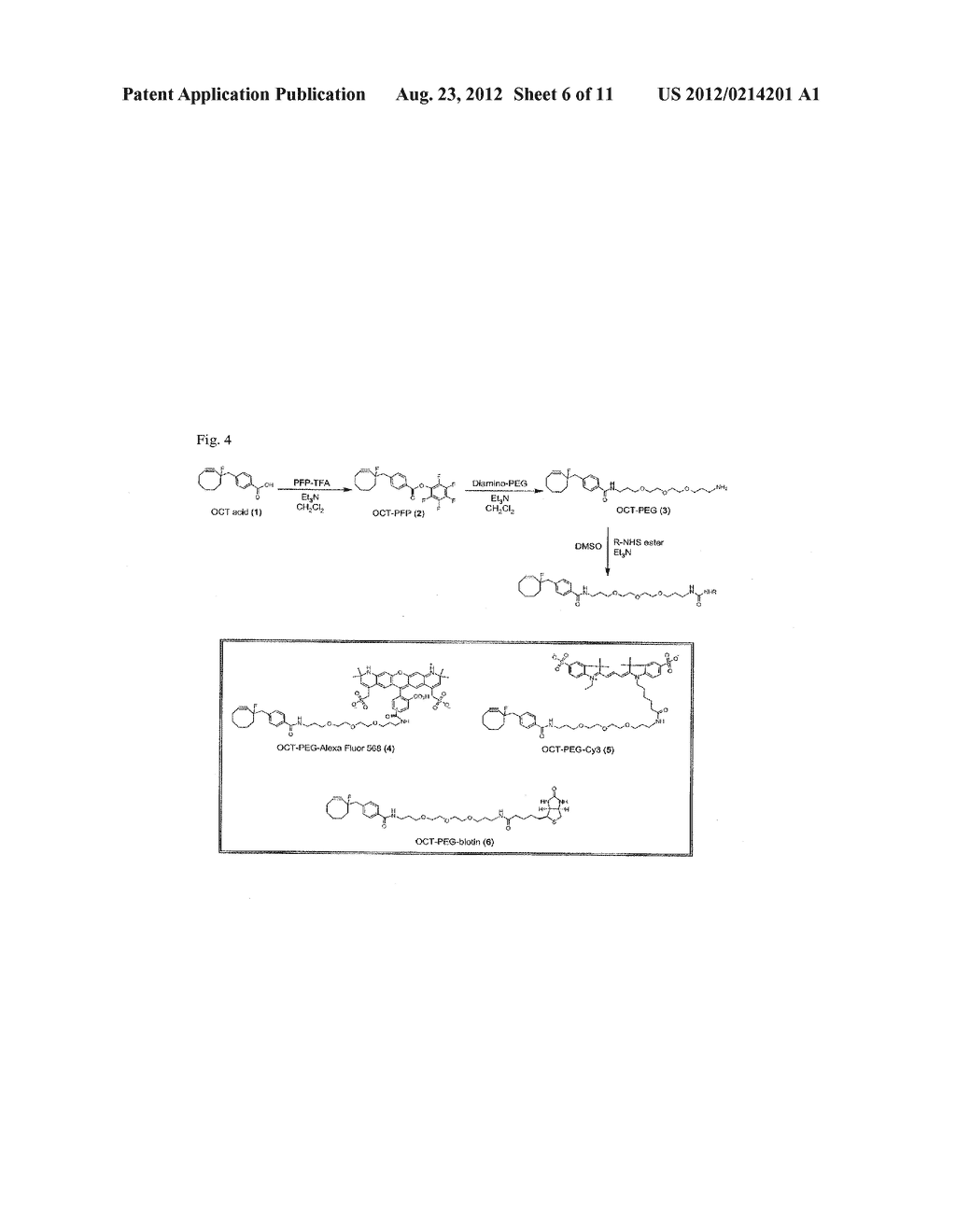 PROBE INCORPORATION MEDIATED BY ENZYMES - diagram, schematic, and image 07