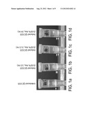 RECOMBINANT HOST CELLS HAVING AN INCREASE IN BUOYANT DENSITY diagram and image