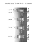 RECOMBINANT HOST CELLS HAVING AN INCREASE IN BUOYANT DENSITY diagram and image