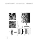 IN SITU TISSUE ENGINEERING USING MAGNETICALLY GUIDED THREE DIMENSIONAL     CELL PATTERNING diagram and image