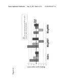 IN SITU TISSUE ENGINEERING USING MAGNETICALLY GUIDED THREE DIMENSIONAL     CELL PATTERNING diagram and image