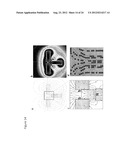 IN SITU TISSUE ENGINEERING USING MAGNETICALLY GUIDED THREE DIMENSIONAL     CELL PATTERNING diagram and image