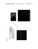 IN SITU TISSUE ENGINEERING USING MAGNETICALLY GUIDED THREE DIMENSIONAL     CELL PATTERNING diagram and image