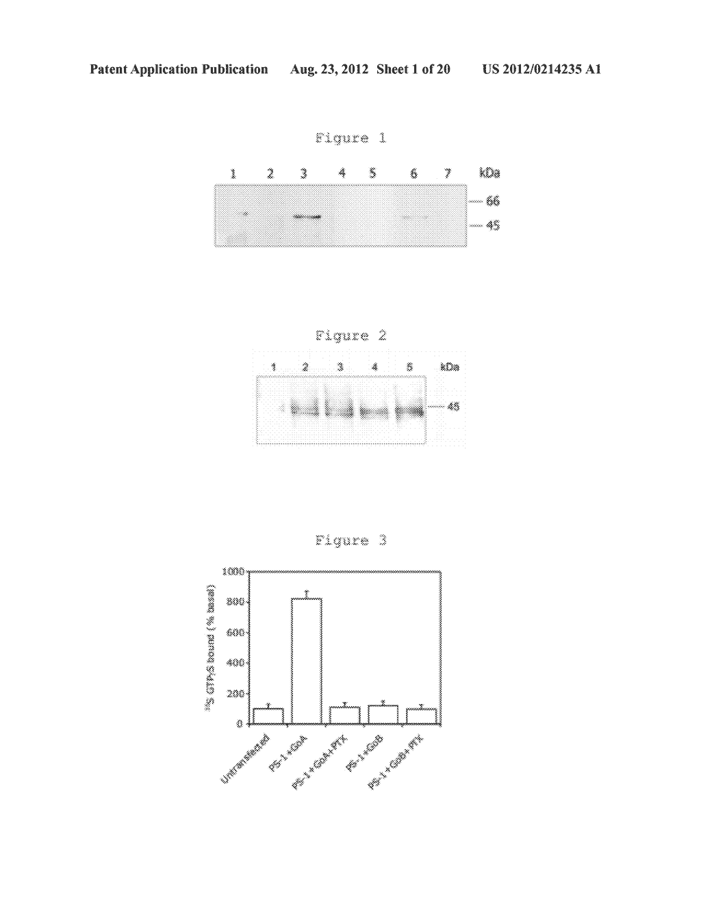 METHODS AND COMPOSITIONS FOR TREATING NEURODEGENERATIVE DISORDERS AND     ALZHEIMER'S DISEASE AND IMPROVING NORMAL MEMORY - diagram, schematic, and image 02