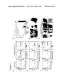 GENERATING INDUCED PLURIPOTENT STEM CELLS AND PROGENITOR CELLS FROM     FIBROBLASTS diagram and image