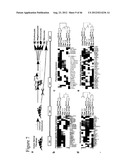 GENERATING INDUCED PLURIPOTENT STEM CELLS AND PROGENITOR CELLS FROM     FIBROBLASTS diagram and image