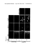 GENERATING INDUCED PLURIPOTENT STEM CELLS AND PROGENITOR CELLS FROM     FIBROBLASTS diagram and image