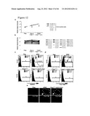 GENERATING INDUCED PLURIPOTENT STEM CELLS AND PROGENITOR CELLS FROM     FIBROBLASTS diagram and image