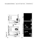 GENERATING INDUCED PLURIPOTENT STEM CELLS AND PROGENITOR CELLS FROM     FIBROBLASTS diagram and image