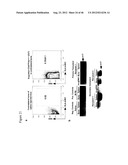 GENERATING INDUCED PLURIPOTENT STEM CELLS AND PROGENITOR CELLS FROM     FIBROBLASTS diagram and image