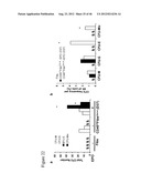 GENERATING INDUCED PLURIPOTENT STEM CELLS AND PROGENITOR CELLS FROM     FIBROBLASTS diagram and image