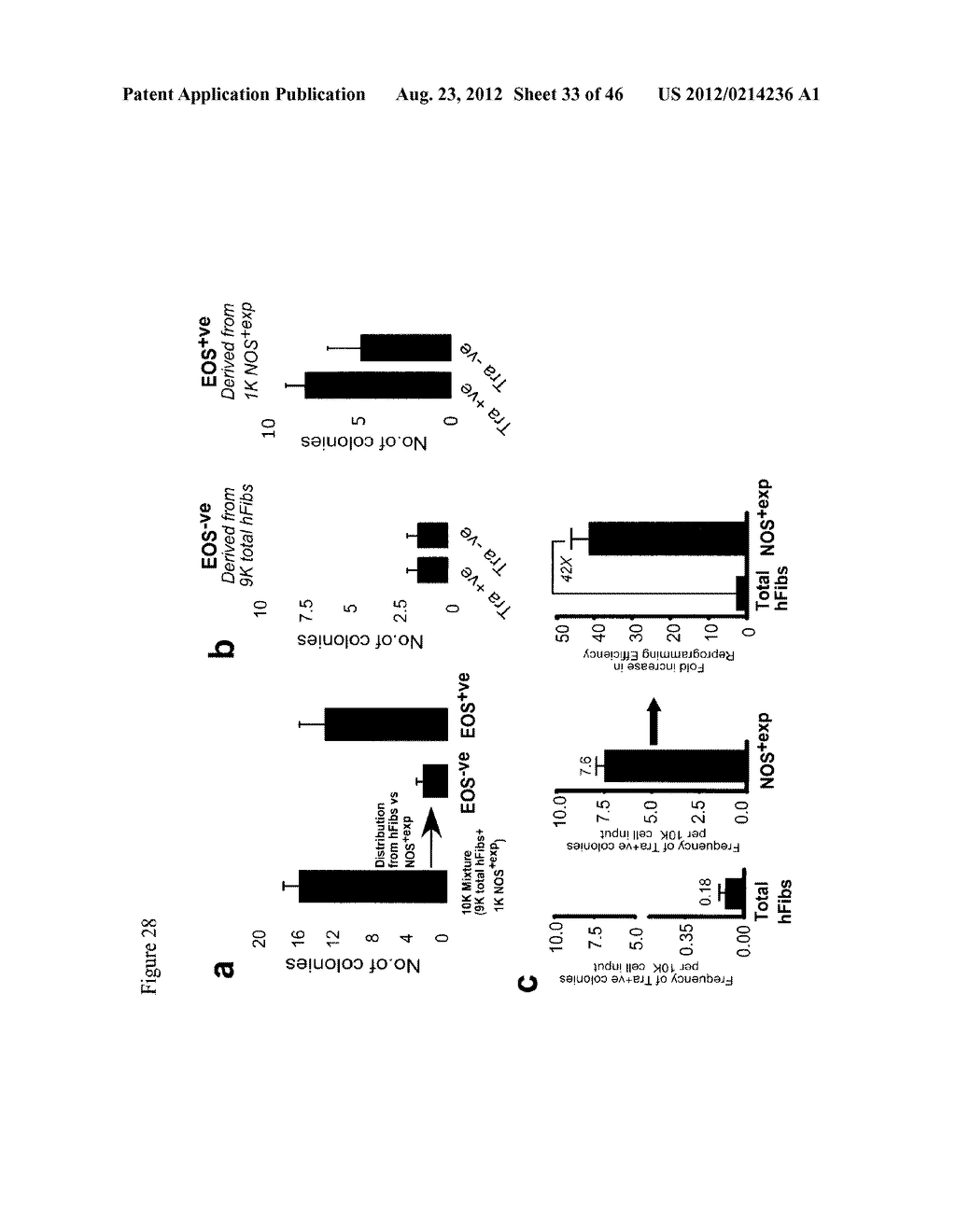 GENERATING INDUCED PLURIPOTENT STEM CELLS AND PROGENITOR CELLS FROM     FIBROBLASTS - diagram, schematic, and image 34