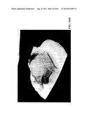 MOLLUSC PROCESSING APPARATUS AND RELATED METHODS diagram and image