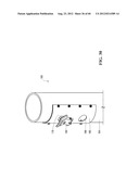 MOLLUSC PROCESSING APPARATUS AND RELATED METHODS diagram and image