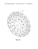 MOLLUSC PROCESSING APPARATUS AND RELATED METHODS diagram and image