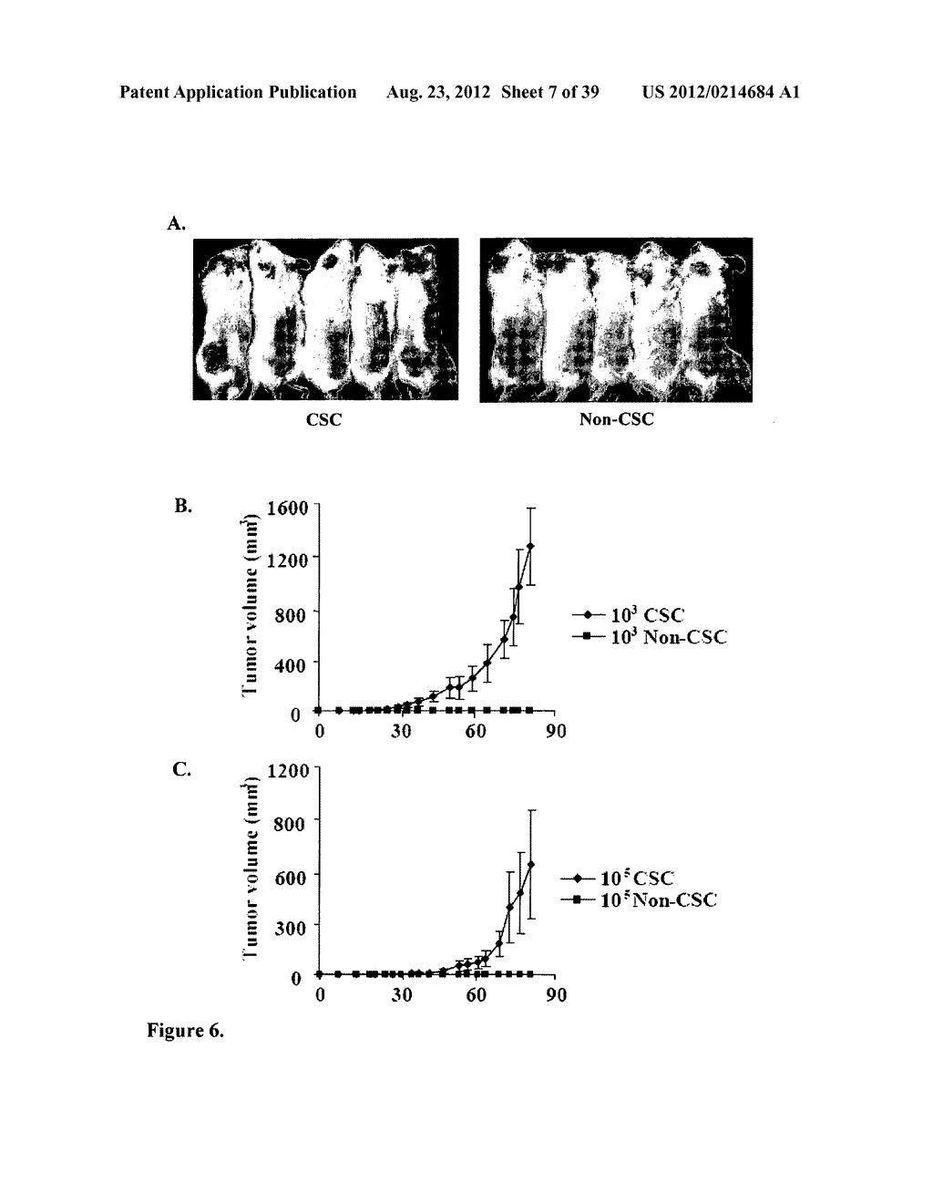 COMPOSITIONS AND METHODS FOR DETECTING AND TREATING PROSTATE CARCINOMA - diagram, schematic, and image 08