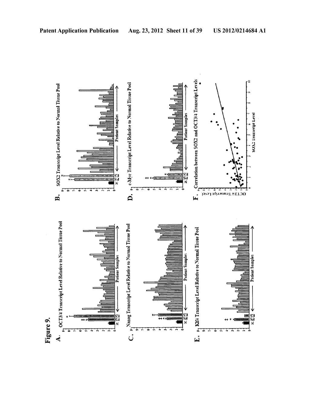 COMPOSITIONS AND METHODS FOR DETECTING AND TREATING PROSTATE CARCINOMA - diagram, schematic, and image 12