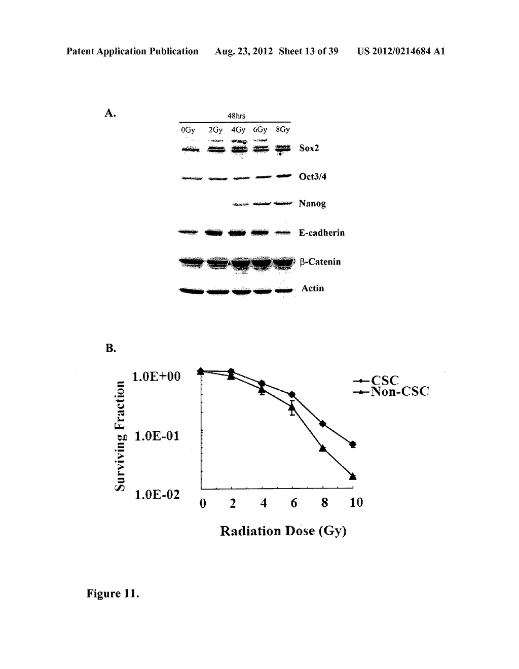 COMPOSITIONS AND METHODS FOR DETECTING AND TREATING PROSTATE CARCINOMA - diagram, schematic, and image 14