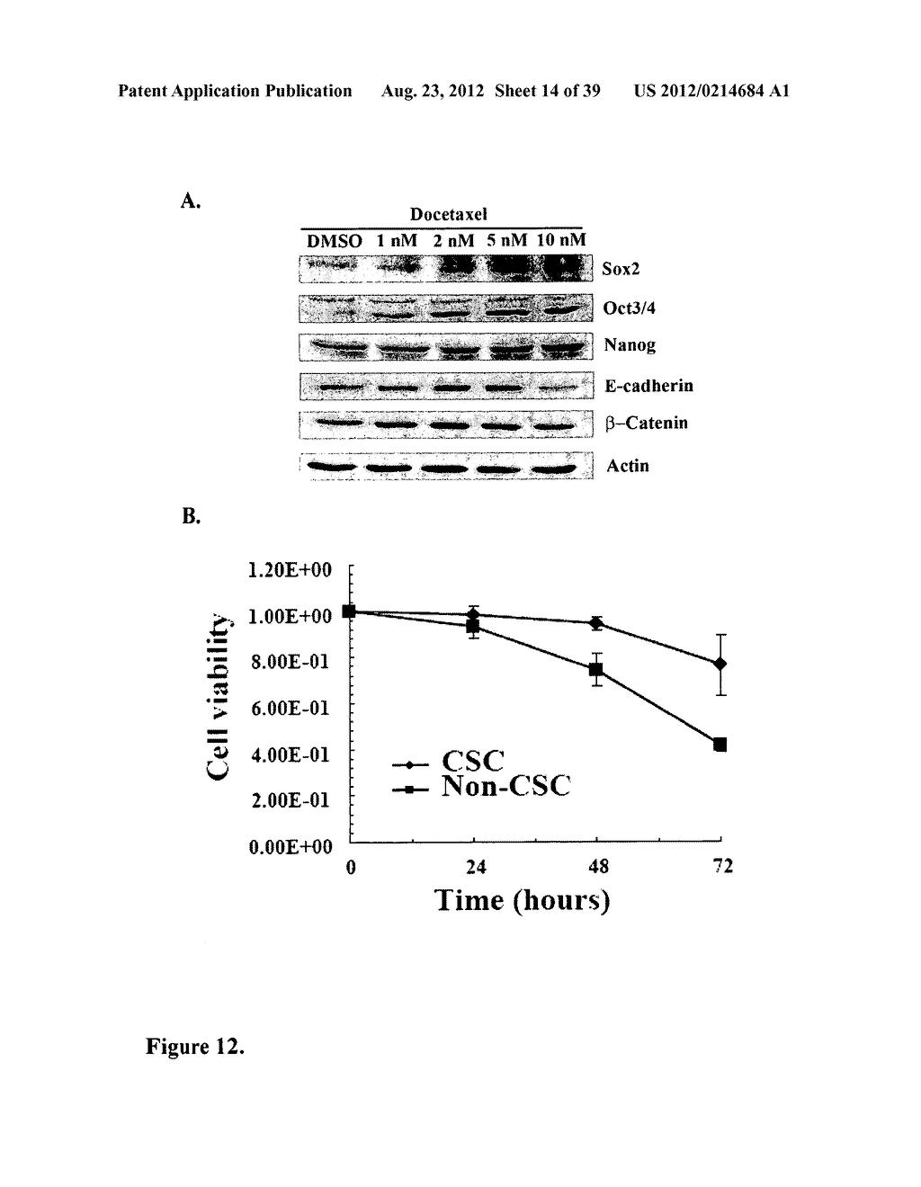 COMPOSITIONS AND METHODS FOR DETECTING AND TREATING PROSTATE CARCINOMA - diagram, schematic, and image 15