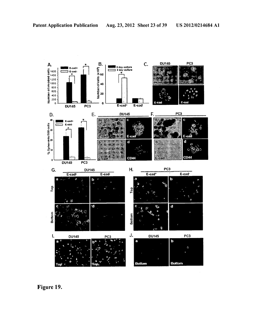 COMPOSITIONS AND METHODS FOR DETECTING AND TREATING PROSTATE CARCINOMA - diagram, schematic, and image 24