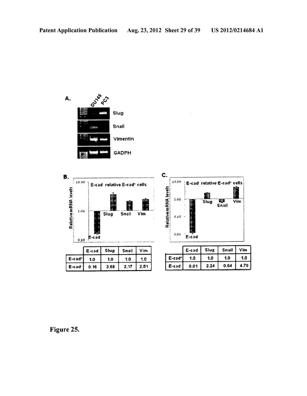 COMPOSITIONS AND METHODS FOR DETECTING AND TREATING PROSTATE CARCINOMA - diagram, schematic, and image 30