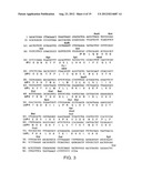 BAFF RECEPTOR (BCMA), AN IMMUNOREGULATORY AGENT diagram and image