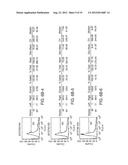 BAFF RECEPTOR (BCMA), AN IMMUNOREGULATORY AGENT diagram and image